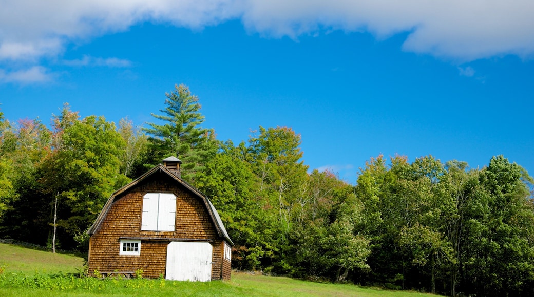 Tamworth showing a house