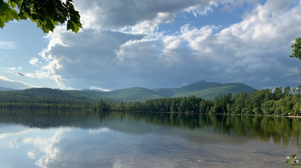 Like in heaven!!!
#nature #lake