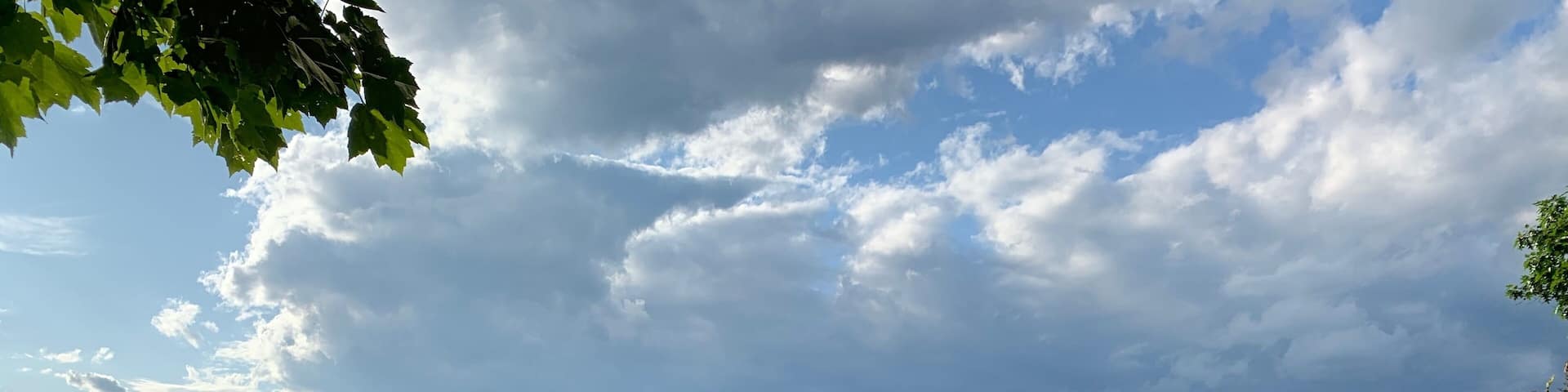 Like in heaven!!!
#nature #lake