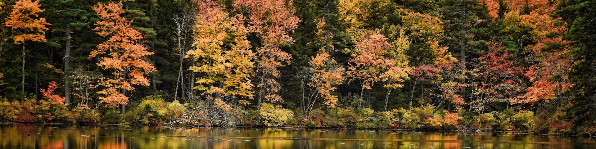 A man in a green canoe on a calm lake surrounded by autumn-colored trees.