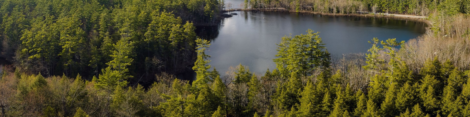 Spring at Chocorua Lake in Tamwort, NH