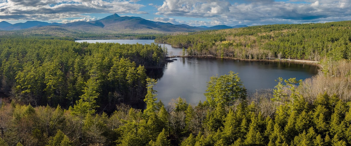 A lake surrounded by dense forest and mountains in the background.