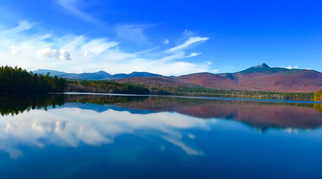Great Spot to snap a pic wooden bridge perfect 64 Deb day in November