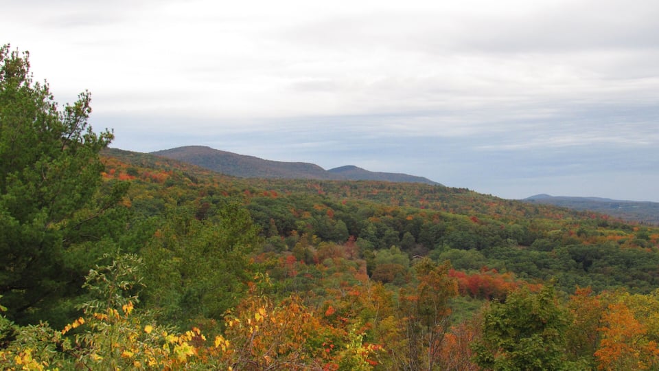 A forested landscape with autumn foliage and distant hills.