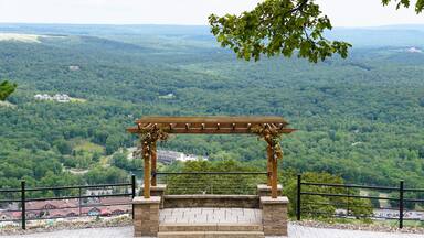 A wooden pergola provides a picturesque backdrop for an outdoor ceremony overlooking a lush valley near Tannersville, Pennsylvania, U.S.A