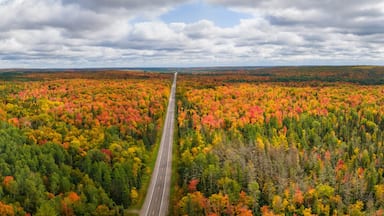 Vibrant autumn colors in the Michigan Upper Peninsula near Ironwood - scenic drive on US Highway 2,