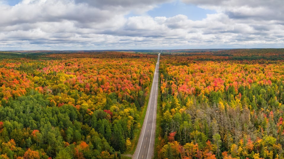 A road through a forest with autumn foliage.