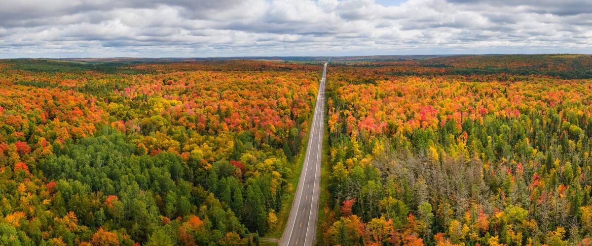 A road through a forest with autumn foliage.