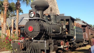 Found this park by accident. On a HUGE lake outside of Mount Dora. Has a real train people can ride for a price. During the holidays people take a ride on the train and Santa makes an appearance! Very cool for kids of all ages, even adults. Park has water park in summer, playground open year round and much much more!