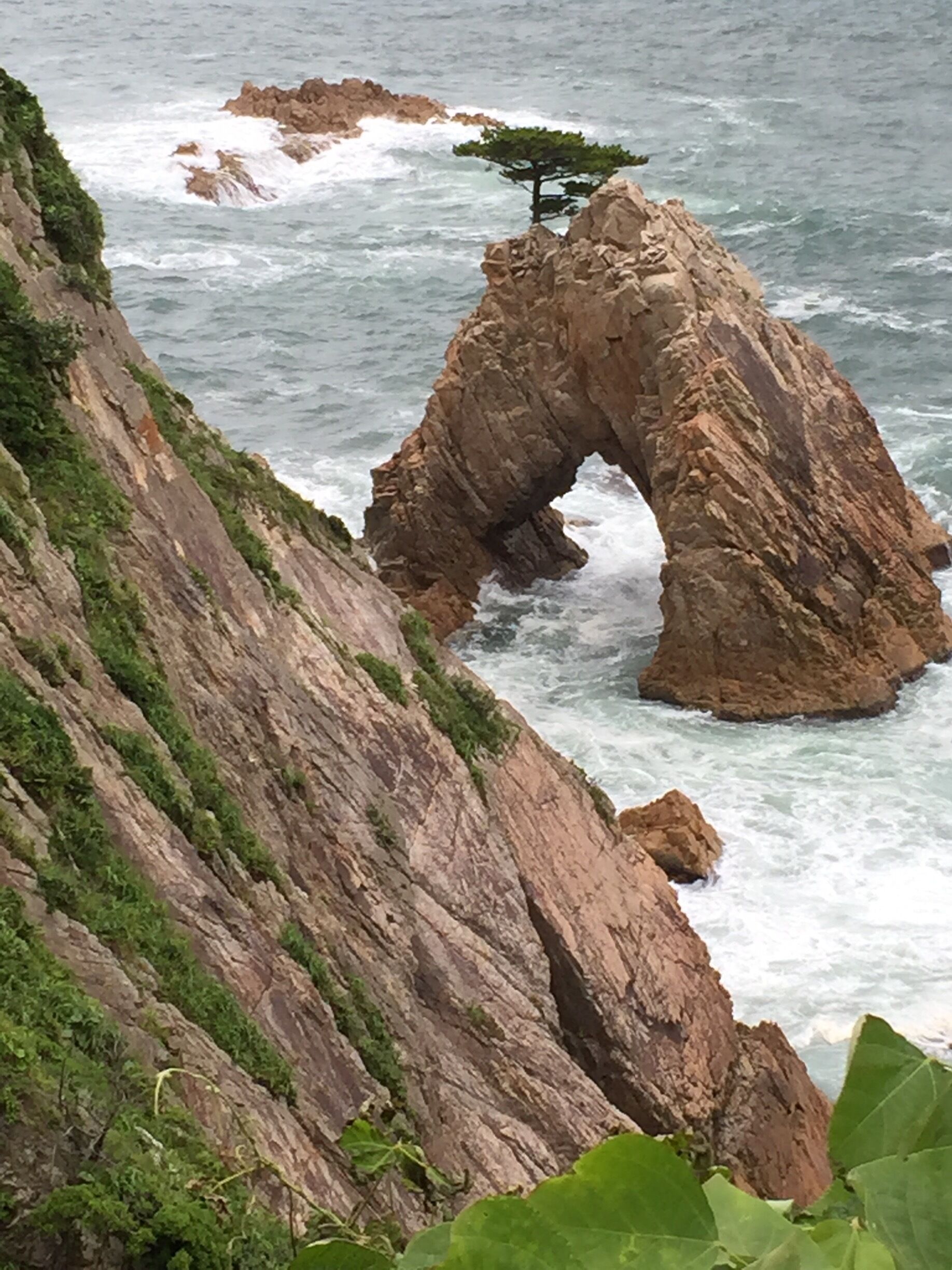 This is part of the Sanin Kaigan National Park in Japan. It is known as the Senganmatsu Island where a pine tree can be found on it!

Wikipedia:
The Uradome Coast is made up of rocks formed by marine erosion, white sandy beaches, and dense scrub pines. The coast stretches for approximately 15 kilometers (9.3 mi) to 16 kilometers (9.9 mi) along the Japan Sea on the eastern tip of Tottori Prefecture from Cape Kugami to Mount Shichiyama. Marine erosion has formed distinctive natural sea walls, cliffs, tunnels, caves, and large rocks of unusual shapes. The Uradome Coast is an important part of the Sanin Kaigan National Park.

The Uradome Coast is known as the "San'in Matsushima" due to its resemblance to Matsushima in Miyagi Prefecture. The author Tōson Shimazaki (1872–1943) was especially fond of the Uradome Coast. He praised the area with the quote "Matsushima is Matsushima, Uradome is Uradome".

The name of the Uradome Coast in Japanese is formed from two kanji. The first, 浦, means "inlet" and the second, 富 means "abundant" or "rich".
