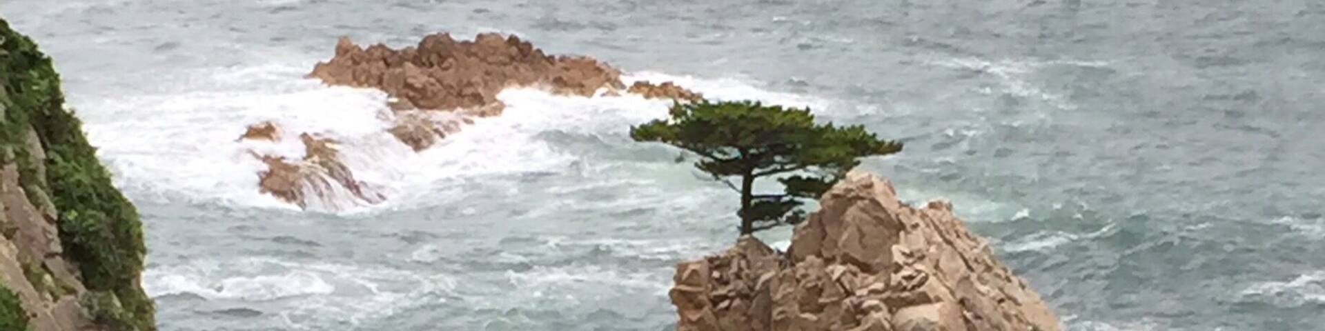 This is part of the Sanin Kaigan National Park in Japan. It is known as the Senganmatsu Island where a pine tree can be found on it!
Wikipedia:
The Uradome Coast is made up of rocks formed by marine erosion, white sandy beaches, and dense scrub pines. The coast stretches for approximately 15 kilometers (9.3 mi) to 16 kilometers (9.9 mi) along the Japan Sea on the eastern tip of Tottori Prefecture from Cape Kugami to Mount Shichiyama. Marine erosion has formed distinctive natural sea walls, cliffs, tunnels, caves, and large rocks of unusual shapes. The Uradome Coast is an important part of the Sanin Kaigan National Park.
The Uradome Coast is known as the "San'in Matsushima" due to its resemblance to Matsushima in Miyagi Prefecture. The author Tōson Shimazaki (1872–1943) was especially fond of the Uradome Coast. He praised the area with the quote "Matsushima is Matsushima, Uradome is Uradome".
The name of the Uradome Coast in Japanese is formed from two kanji. The first, 浦, means "inlet" and the second, 富 means "abundant" or "rich".