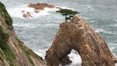 A coastal landscape with a prominent rock formation arching over the sea, a solitary tree on top, and steep cliffs with greenery.