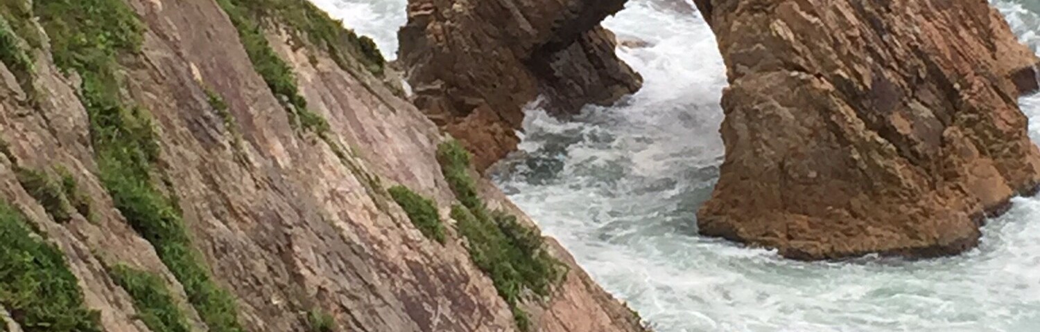 This is part of the Sanin Kaigan National Park in Japan. It is known as the Senganmatsu Island where a pine tree can be found on it!
Wikipedia:
The Uradome Coast is made up of rocks formed by marine erosion, white sandy beaches, and dense scrub pines. The coast stretches for approximately 15 kilometers (9.3 mi) to 16 kilometers (9.9 mi) along the Japan Sea on the eastern tip of Tottori Prefecture from Cape Kugami to Mount Shichiyama. Marine erosion has formed distinctive natural sea walls, cliffs, tunnels, caves, and large rocks of unusual shapes. The Uradome Coast is an important part of the Sanin Kaigan National Park.
The Uradome Coast is known as the "San'in Matsushima" due to its resemblance to Matsushima in Miyagi Prefecture. The author Tōson Shimazaki (1872–1943) was especially fond of the Uradome Coast. He praised the area with the quote "Matsushima is Matsushima, Uradome is Uradome".
The name of the Uradome Coast in Japanese is formed from two kanji. The first, 浦, means "inlet" and the second, 富 means "abundant" or "rich".