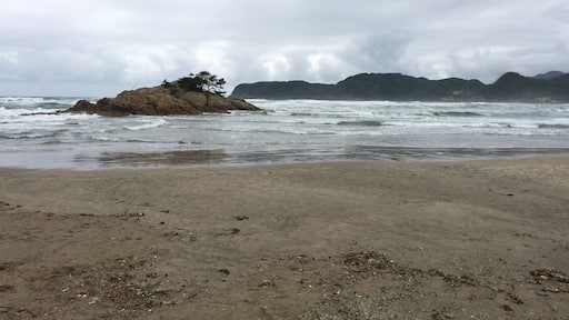 This is a beach and part of the national park. If you look closely, there is a torii gate on the small island off the beach. Looks like an impending storm is approaching so we decided to proceed to the sand dunes which I came for. Luckily for me, no storm at the dunes!