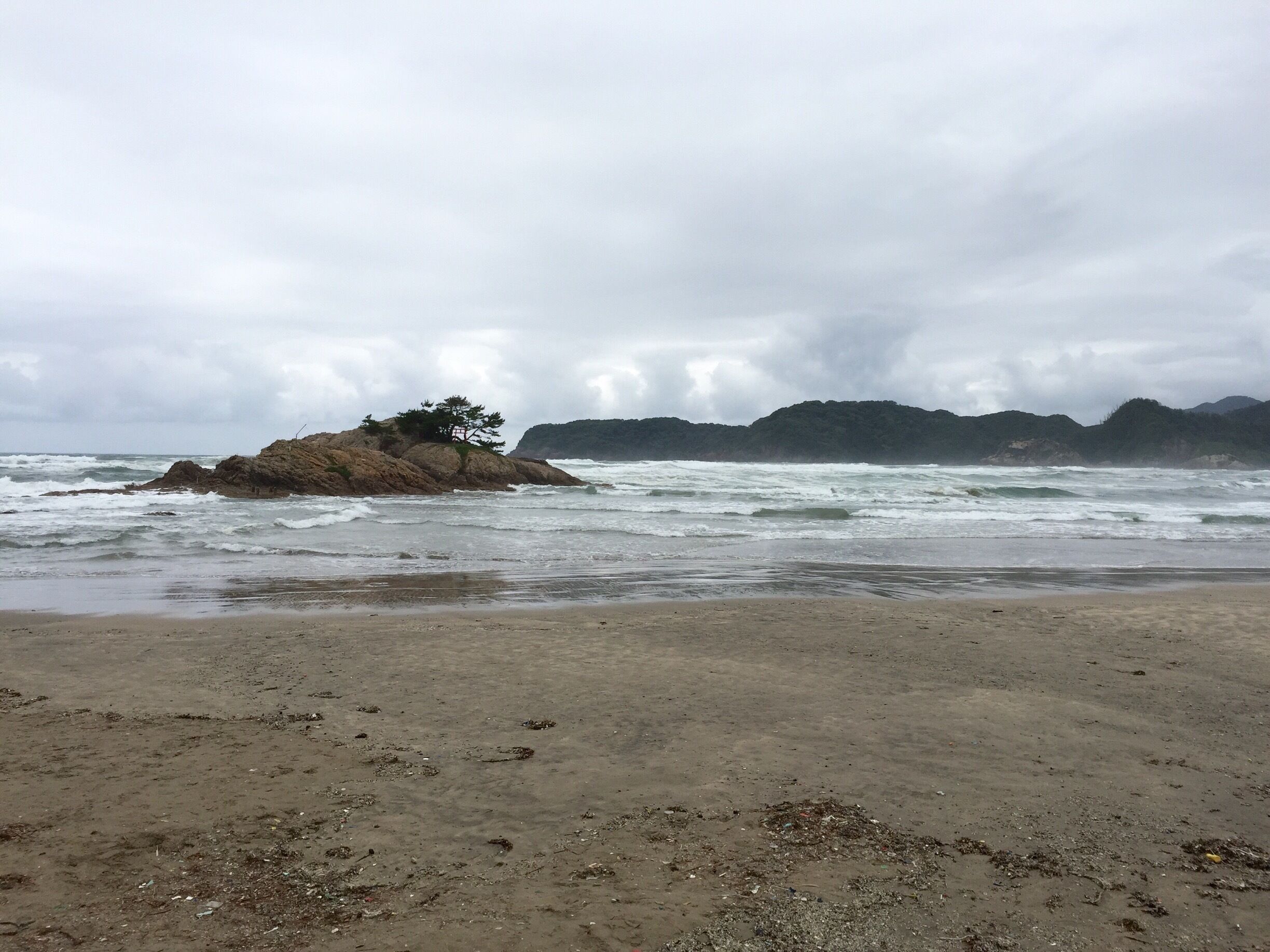 A rocky outcrop with a tree on a beach with rough waves and distant mountains.