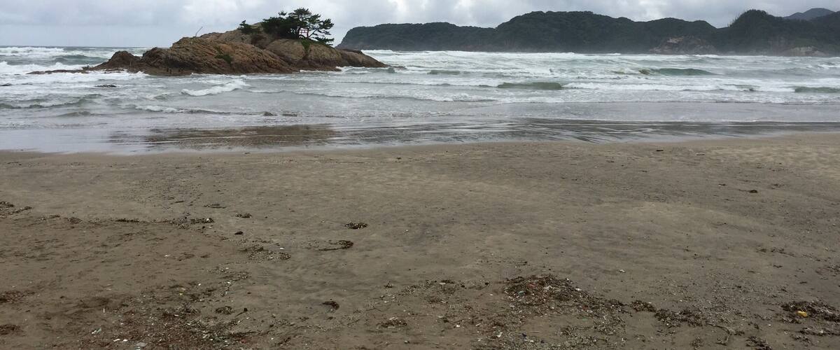 A rocky outcrop with a tree on a beach with rough waves and distant mountains.