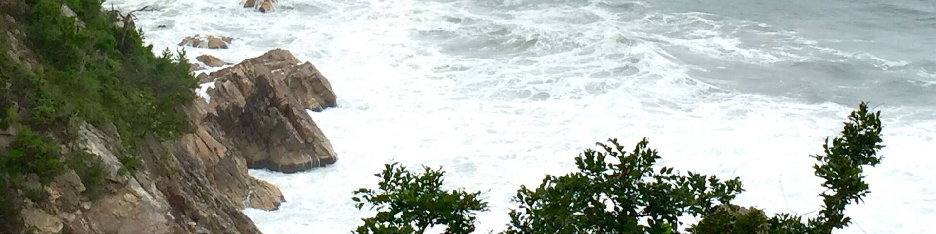 Another scenic part of the coast which is a about 20-30 mins away from the Tottori station. I toured around this area and went for a v short hike before proceeding to the Tottori Sand Dunes. It was a little cloudy that day so the photos didn't turn out as well as I had hoped!