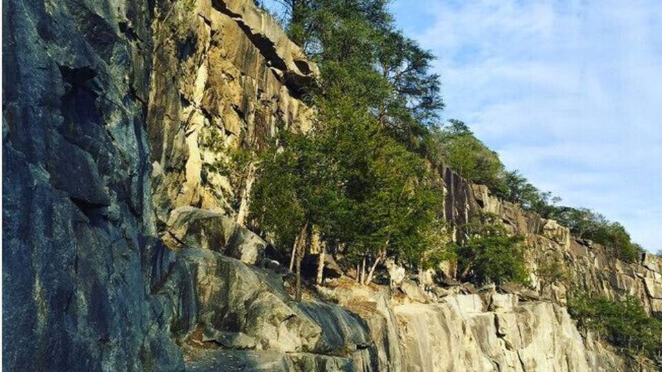 A rocky cliff with trees and people climbing.
