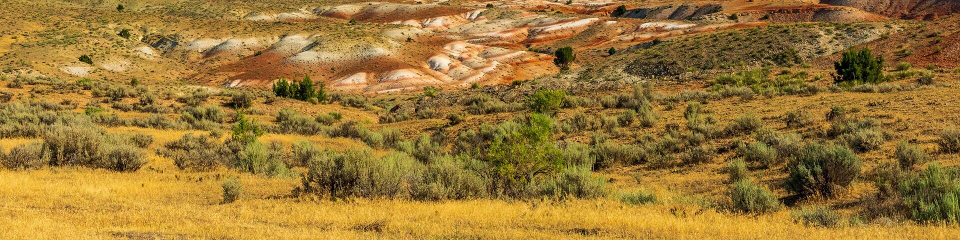 Beautiful Wyoming Landscape, Ten Sleep