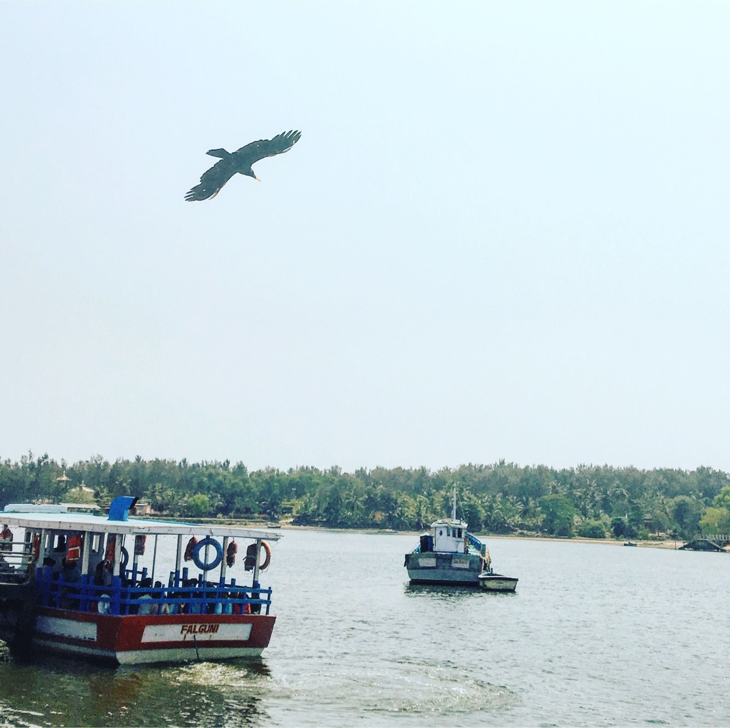 Sultan battery ferry point 🌴 