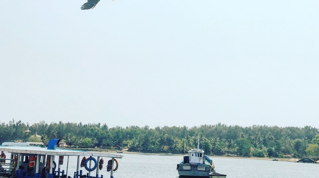 Sultan battery ferry point 🌴