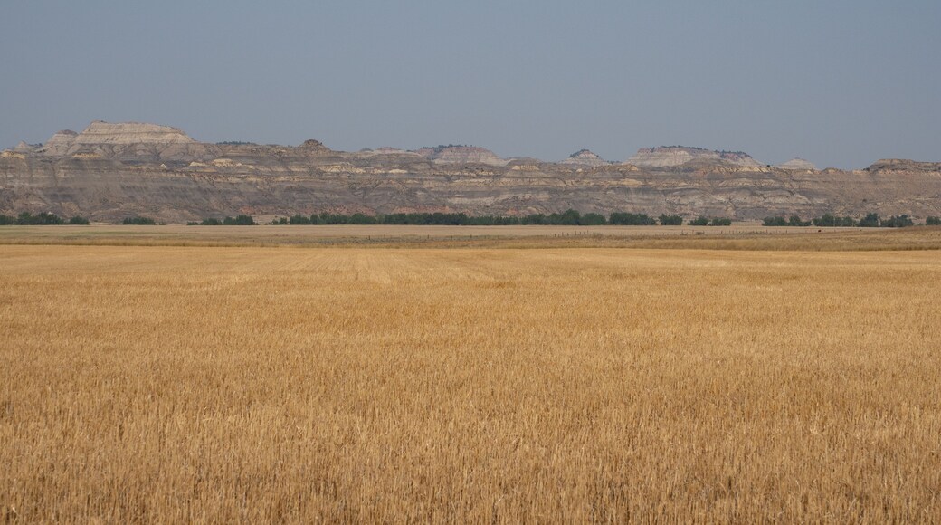 Agricultural Field in Foreground with Terry Badlands, Montana, in Background