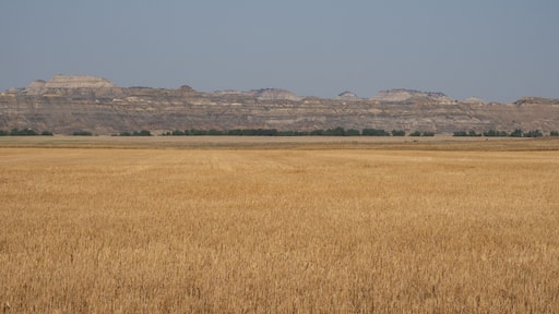 Agricultural Field in Foreground with Terry Badlands, Montana, in Background