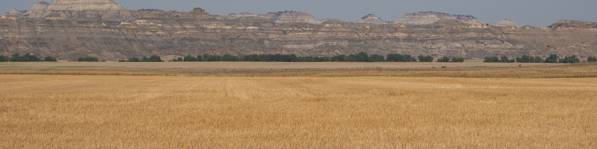 Agricultural Field in Foreground with Terry Badlands, Montana, in Background