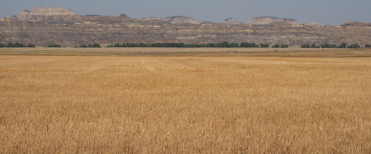 Agricultural Field in Foreground with Terry Badlands, Montana, in Background
