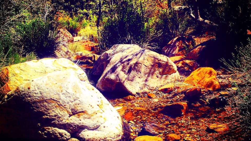 A rocky stream with large boulders and dense foliage.