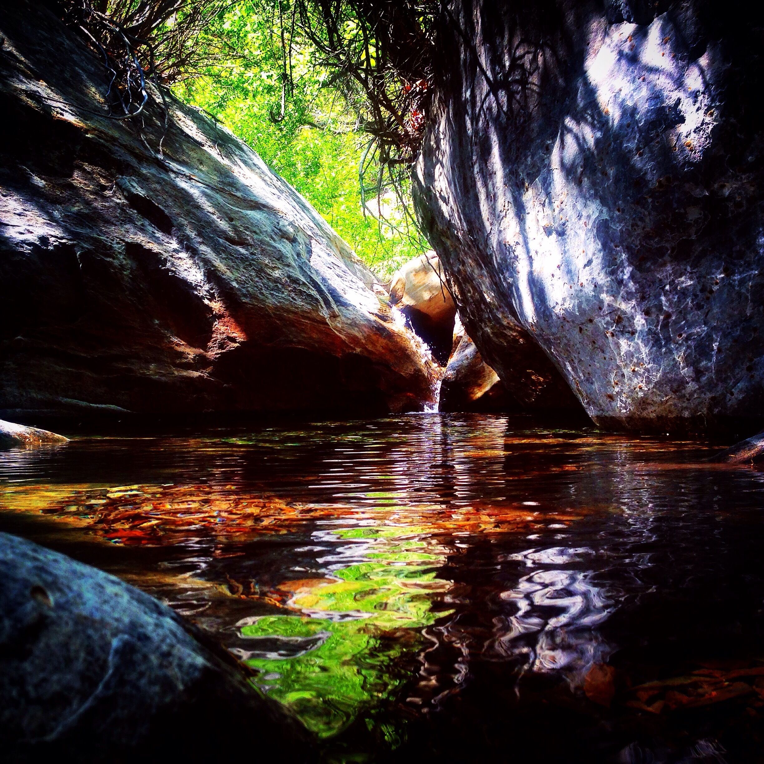 Pool of water along First Creek hike after rainstorms.