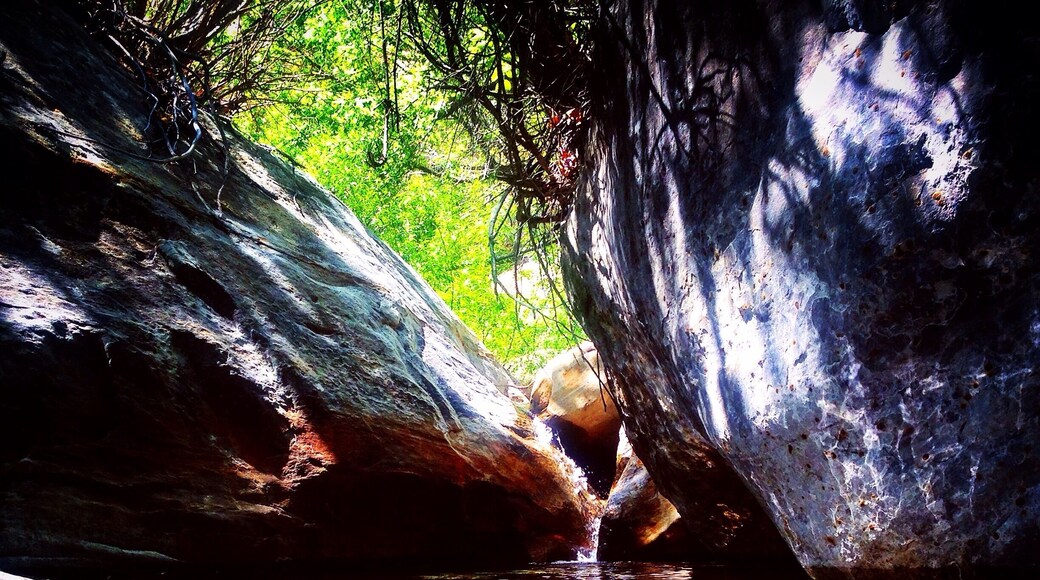 Pool of water along First Creek hike after rainstorms.