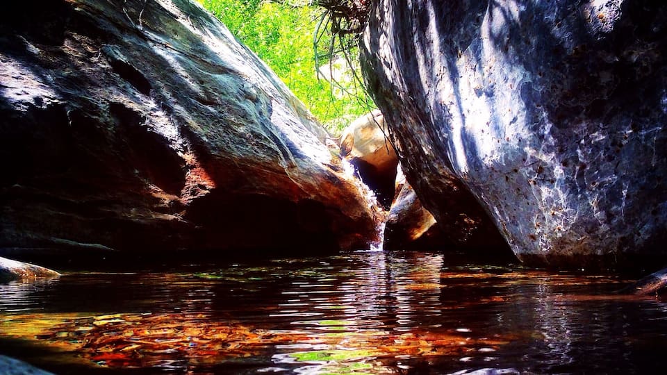 A rocky stream with sunlight filtering through trees.