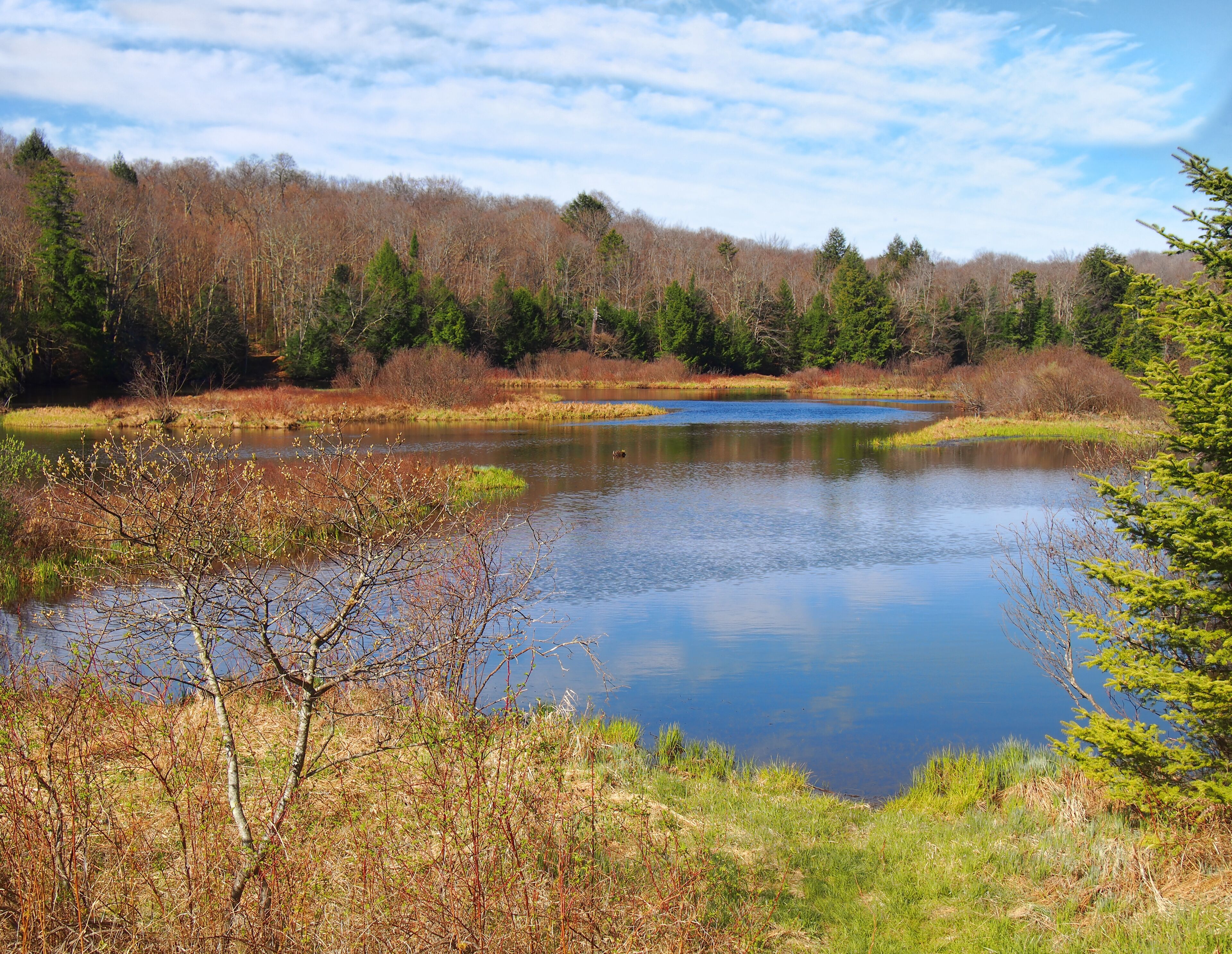 The Moose River, Thendara