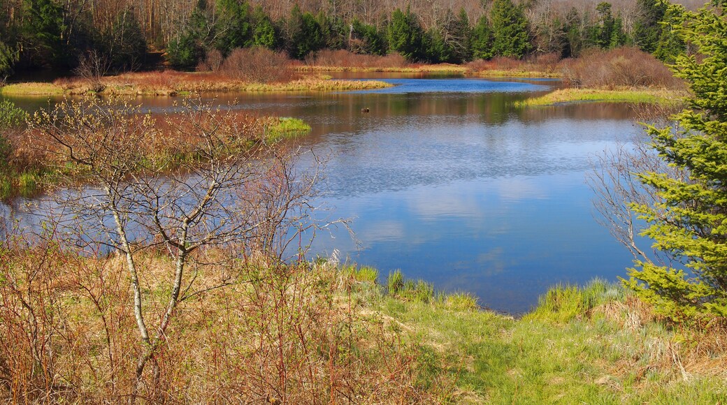 The Moose River, Thendara