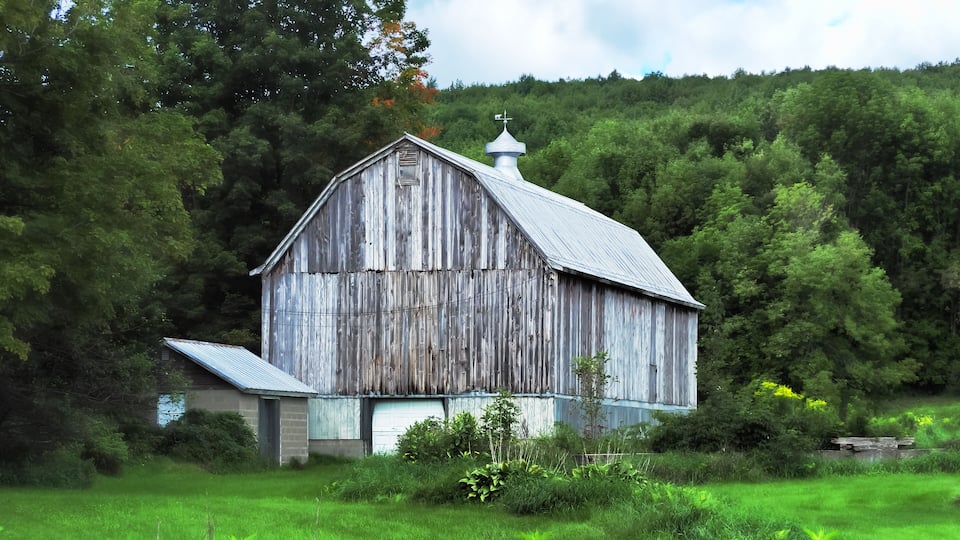 A rustic wooden barn with a metal roof, surrounded by lush greenery and a forested hill in the background.