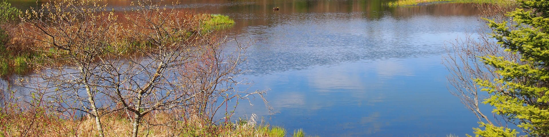 The Moose River, Thendara