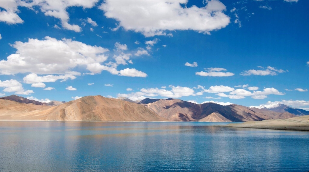 The beautiful salt water Pangong Lake at an altitude of 14,000 ft in Himalayas. This is pure nature with blend of blue water, massive mountains and big desert. Before you decide to "walk around this beautiful lake" make a check on its size. It runs 83 miles in length. Oh Yeah!!!
#LifeAtExpedia