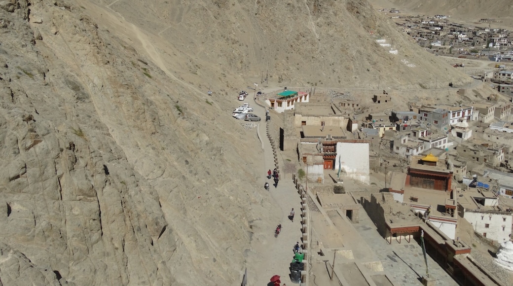 A stupendous sight (of the old city of Leh) to behold from atop of the Leh Palace!
