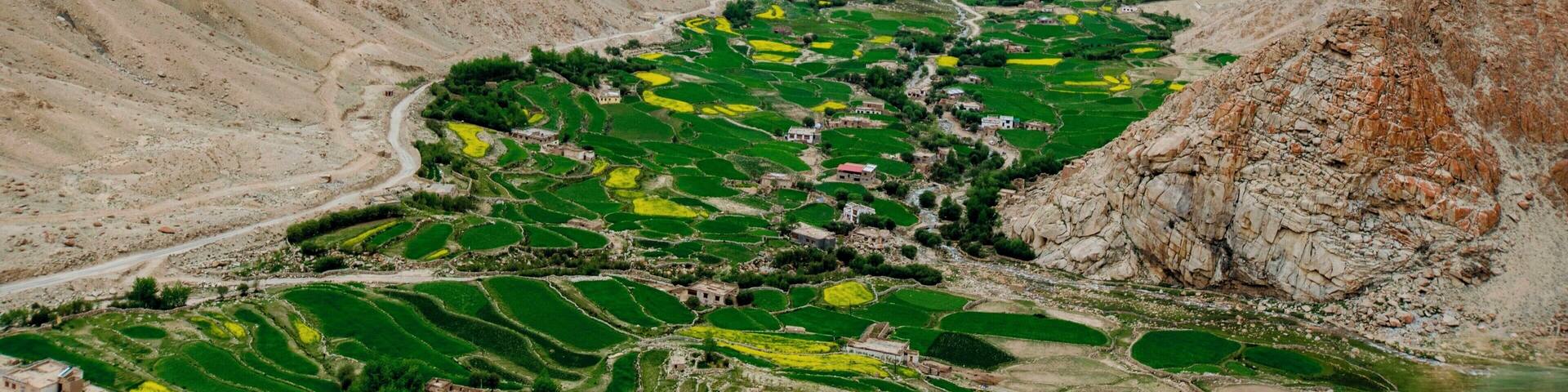 Sidi Bou Said, in Tunisia, is famous for its blue and white details. It's a charming coastal town reminiscent of Santorini.