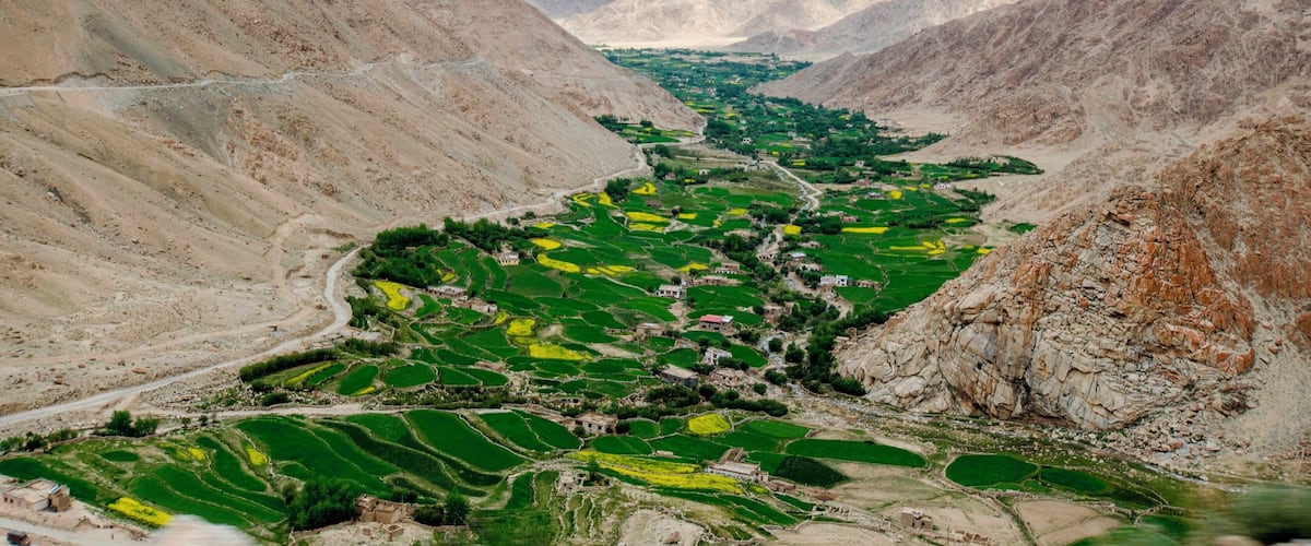 A valley with terraced fields, a winding road, and snow-capped mountains in the background.