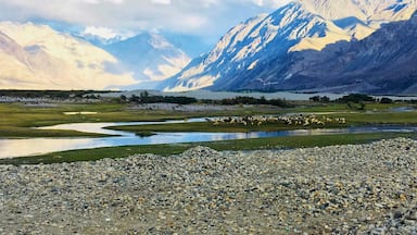 Un paysage montagneux avec une rivière et des rochers éparpillés.
