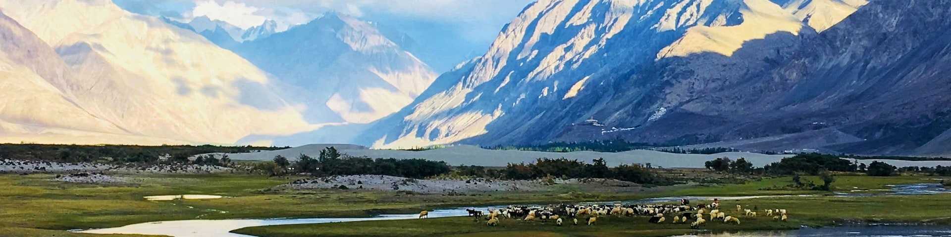 Nubra Valley famous for its sand dunes and double hump Camels #nubravalley #lifeatexpediagroup #leh #ladakh #hunder