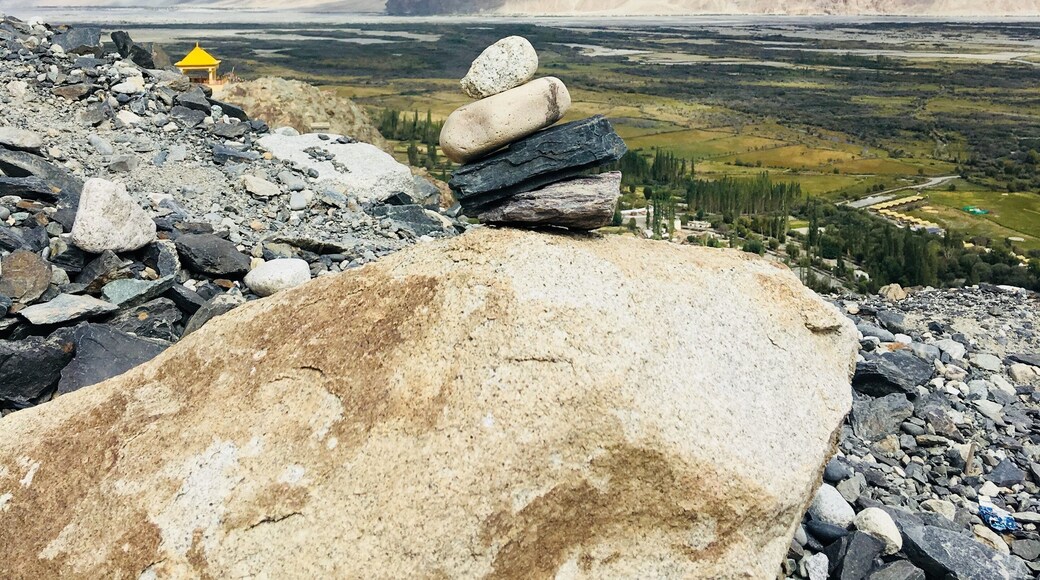 In the lap of nature 💎🏞️🐫 #diskit #ladakh #lifeatexpediagroup