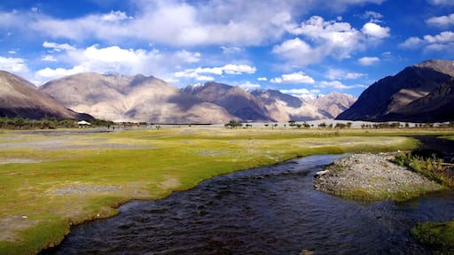 Nubra Valley , Ladakh , India