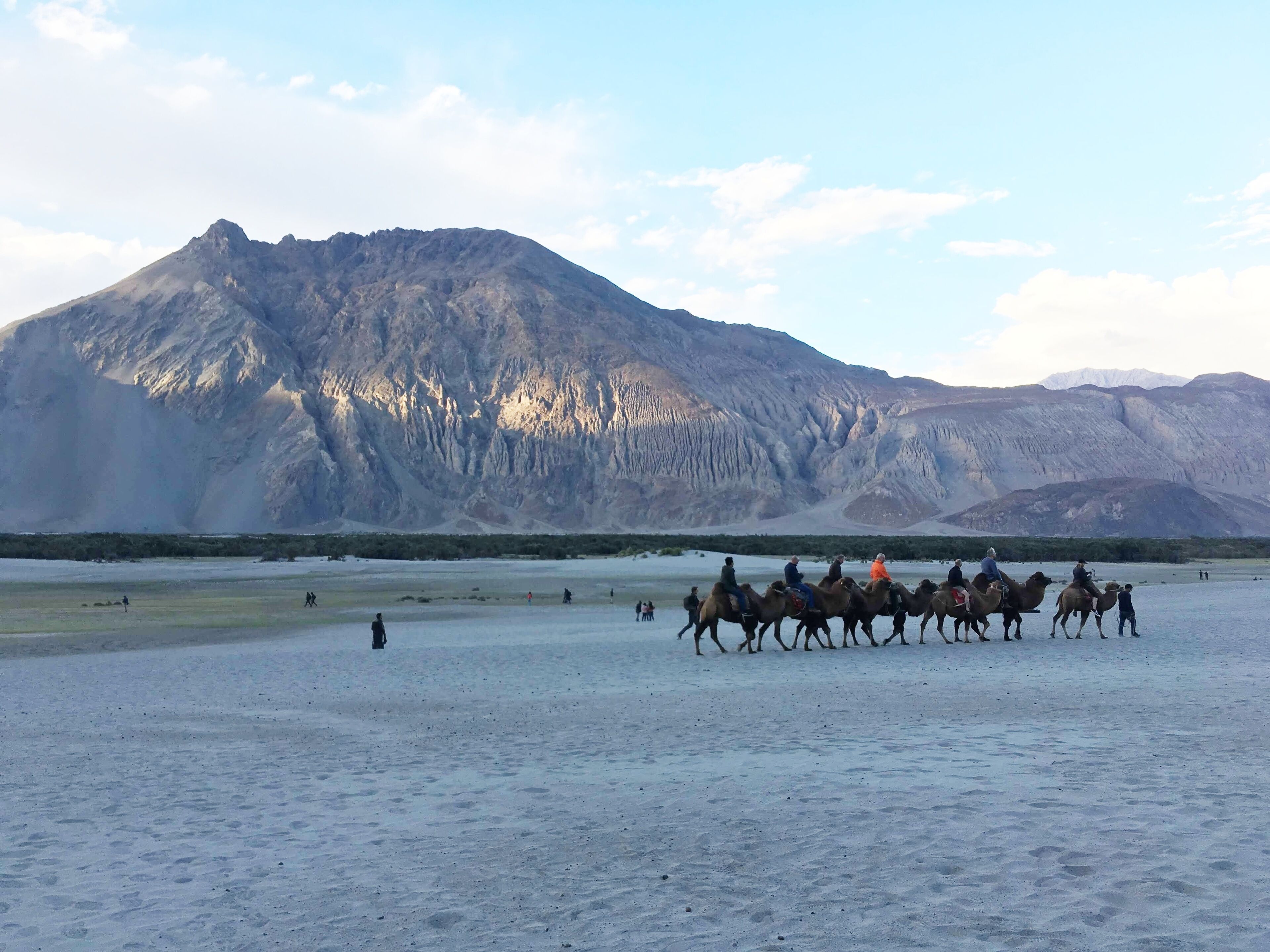 Nature at its best 🌄🐫 #lifeatexpediagroup #Hundar