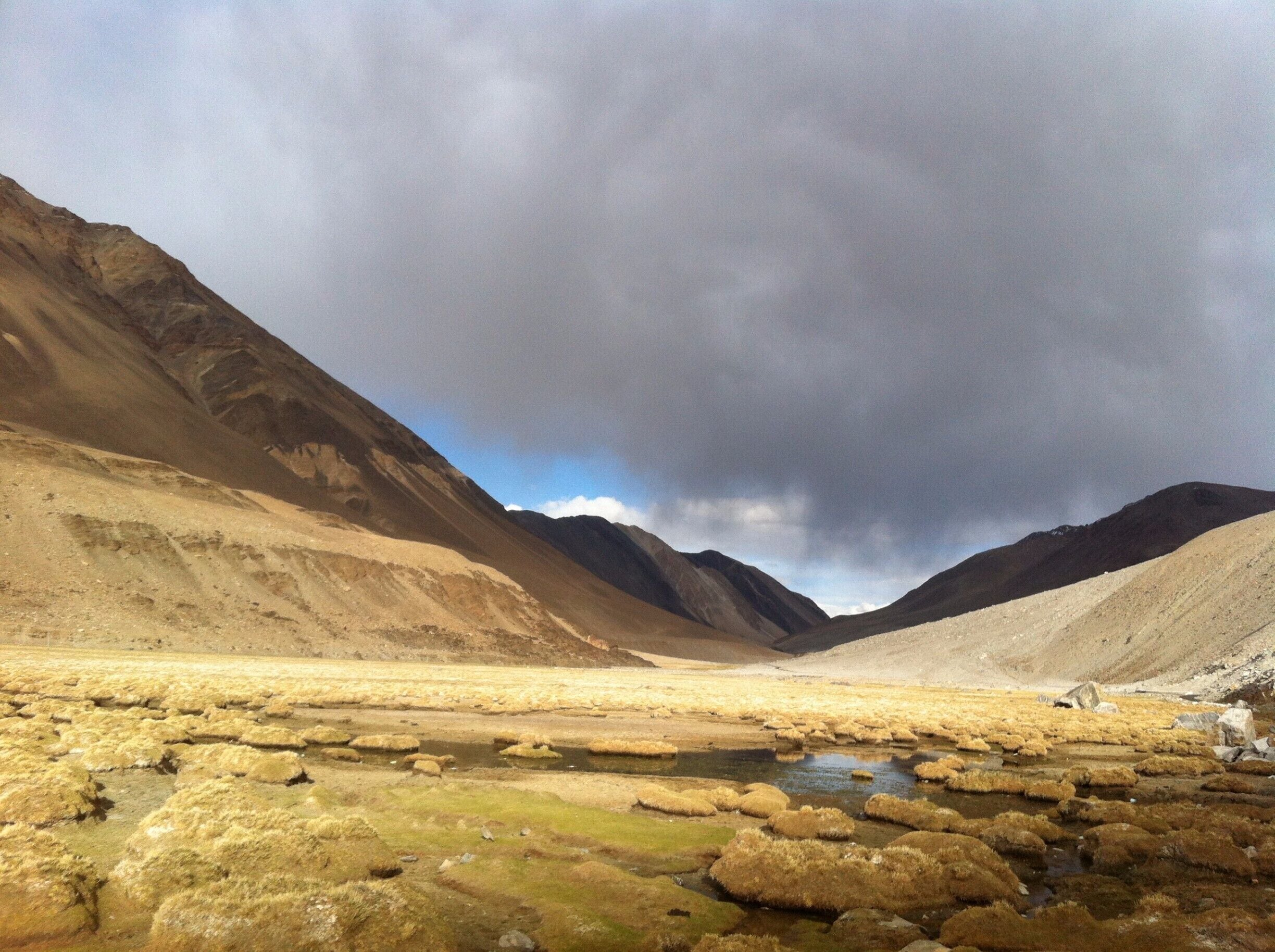 the boggy terrain that one sees after crossing the Chang la pass enroute Pangong Tso lake near Durbuk.  Down from the hill following a partially dry river with mossy wet grasslands one can meet the black colored yaks grazing happily and Marmots (Big Rodents).  