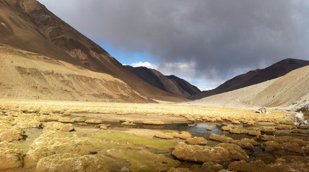 the boggy terrain that one sees after crossing the Chang la pass enroute Pangong Tso lake near Durbuk. Down from the hill following a partially dry river with mossy wet grasslands one can meet the black colored yaks grazing happily and Marmots (Big Rodents).