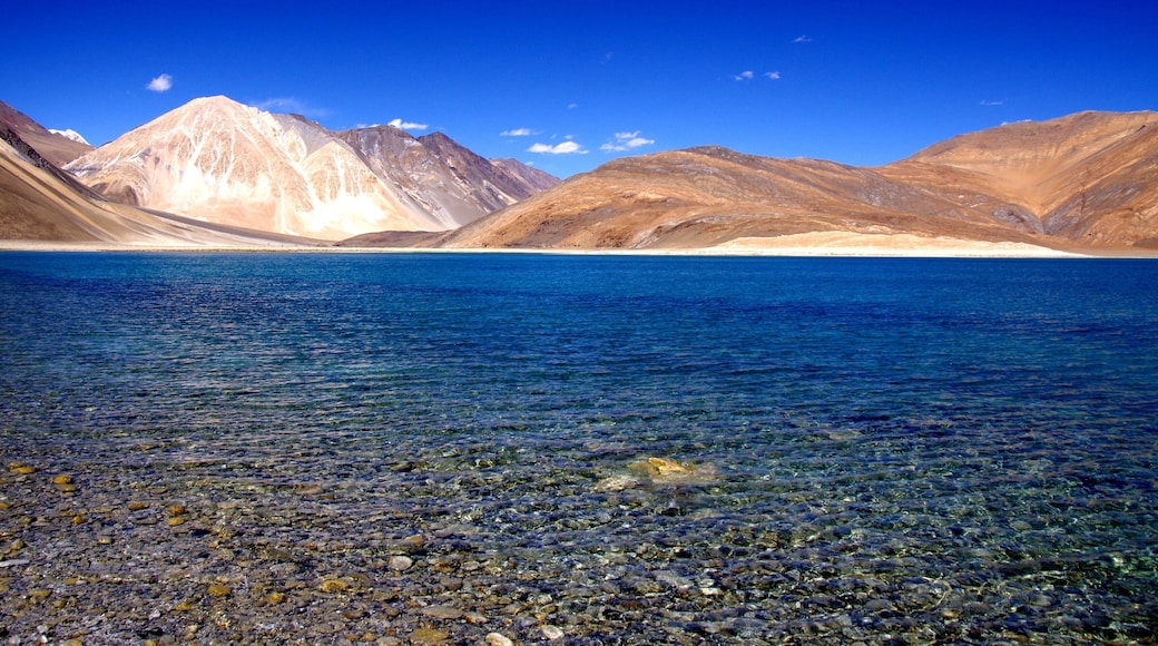 Pangong Tso , Ladakh , India