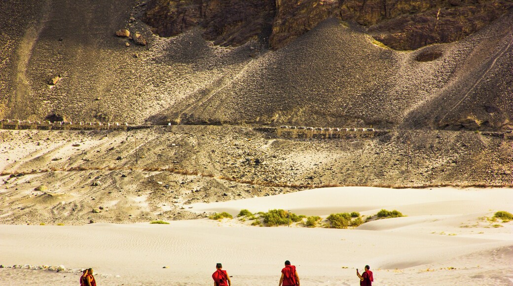 It is no secret that Ladakh is both a traveler and photographer's dream. After first few days of clicking out of frenzied excitement, we realized to better wait for surreal moments like this to enjoy the journey. Now does this often happen to you?
Pictured here: the monks at Nubra Valley calling it a day. Yep this was clicked around sunset. 🇮🇳😍